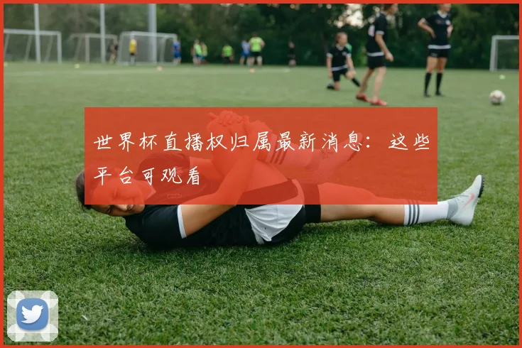 世界杯直播权归属最新消息：这些平台可观看