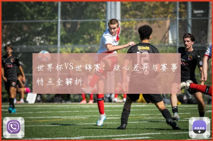 世界杯VS世锦赛：核心差异与赛事特点全解析